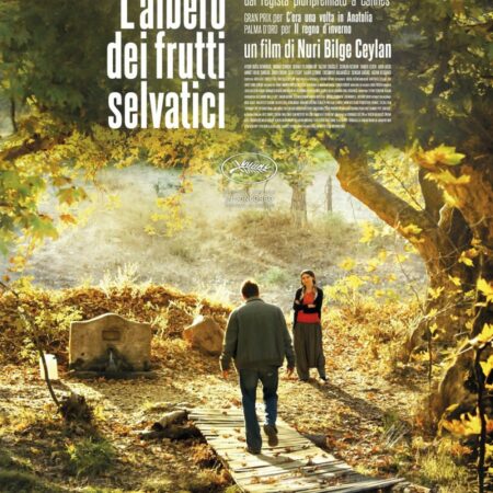 L'albero dei frutti selvatici |Ottobre 2018